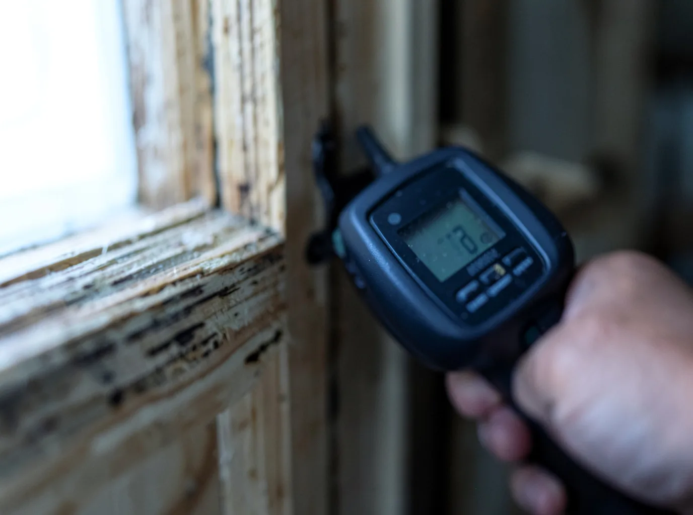 Moisture Inspection And Documentation in Lewis, IA